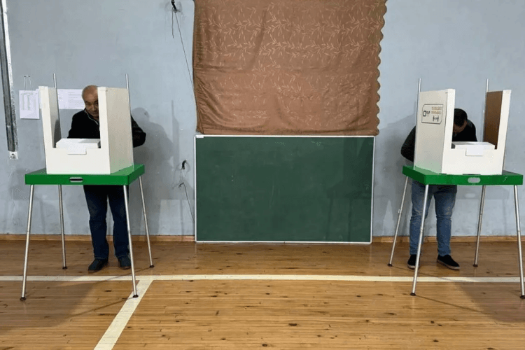 ,,რია ნოვოსტი” : ,,ევროპარლამენტარებმა საქართველოში საპარლამენტო არჩევნები გააკრიტიკეს”