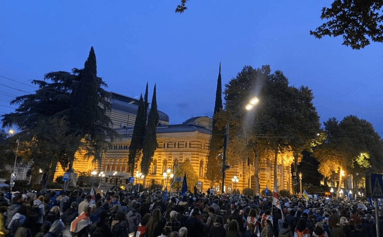 ანგაჟირებული ფსევდო პროევროპული აქცია ,,ნაცხროვის” იმედებს ვერ გაამართლებს