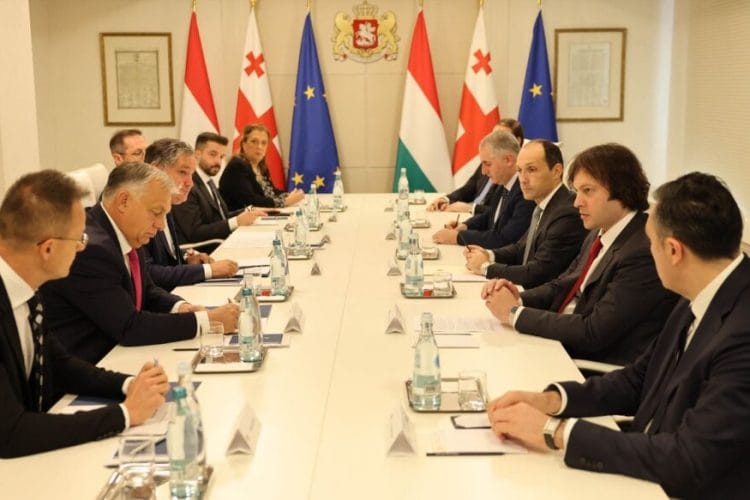 ირაკლი კობახიძე ევროკავშირის საბჭოს თავმჯდომარე ქვეყნის, უნგრეთის პრემიერ-მინისტრ ვიქტორ ორბანს შეხვდა