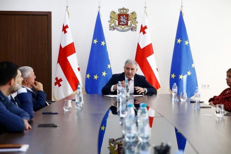 მიხეილ სარჯველაძე ჯანდაცვის ასოციაციის წევრებს შეხვდა
