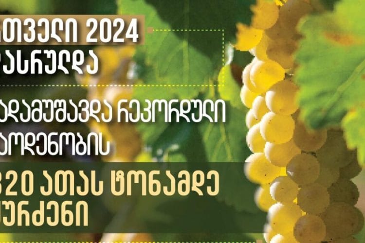 ღვინის ეროვნული სააგენტო – 2024 წელს რთველის ფარგლებში გადამუშავდა დამოუკიდებელი საქართველოს ისტორიაში უპრეცედენტო რაოდენობის, 320 ათას ტონამდე ყურძენი