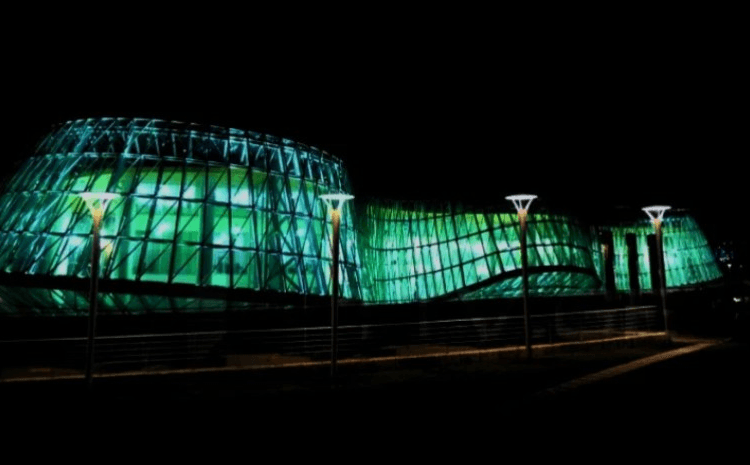 ექსკლუზივი : გომელაურის უწყების მაღალჩინოსნები პაპიძე და პოლკოვნიკი რაზმაძე კიბერბულინგის ,,ფანატები” არიან თუ გაბოროტებული ,,ნაცების” წახალისებას ახდენენ ?