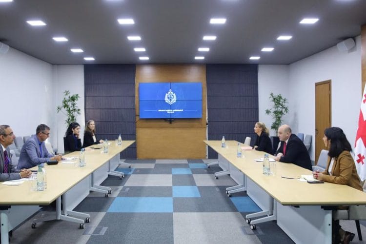შს მინისტრის მოადგილე ალექსანდრე დარახველიძე „ეროვნულ-დემოკრატიული ინსტიტუტის“ სადამკვირვებლო მისიის წარმომადგენლებს შეხვდა