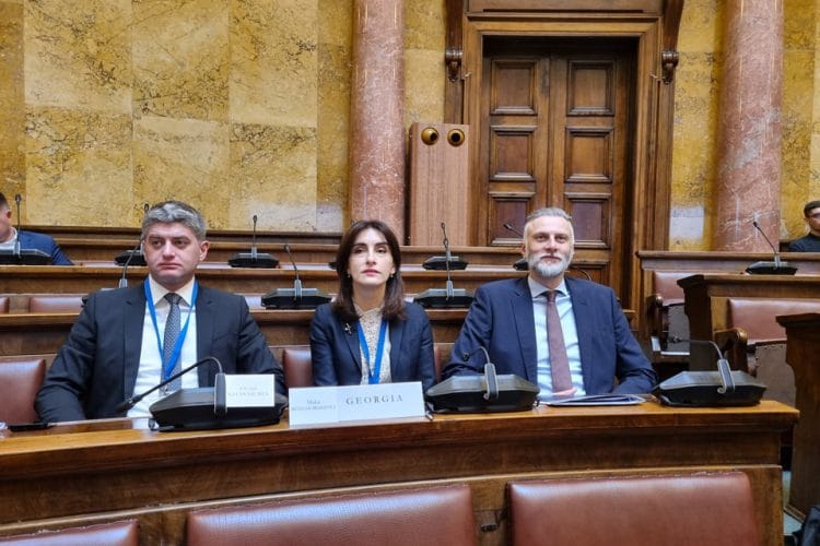 პარლამენტის ევროპასთან ინტეგრაციის კომიტეტის დელეგაციამ ბელგრადში ევროკავშირის წევრობის კანდიდატი ქვეყნების საპარლამენტო კონფერენციაში მიიღო მონაწილეობა