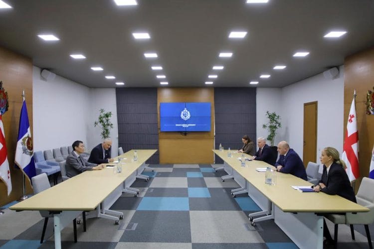 ალექსანდრე დარახველიძემ იაპონიის საერთაშორისო თანამშრომლობის სააგენტოს ხელმძღვანელ ჯუნჯი ვაკუისთან გაცნობითი შეხვედრა გამართა