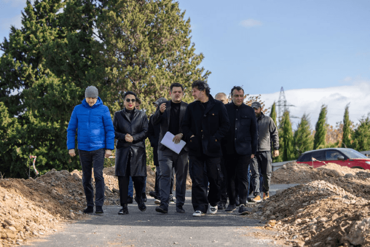 თბილისის მერიამ ხუდადოვის ტყის აღდგენის სამუშაოები დაიწყო