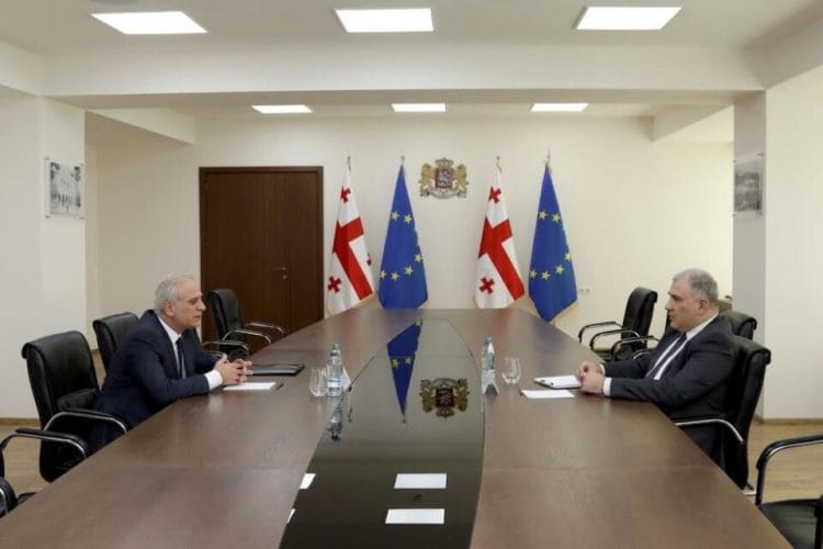 მიხეილ სარჯველაძე აფხაზეთის ავტონომიური რესპუბლიკის ჯანმრთელობისა და სოციალური დაცვის მინისტრს შეხვდა