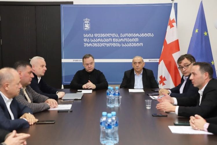 დევნილთა, შრომის, ჯანმრთელობისა და სოციალური დაცვის სამინისტრო იძულებით გადაადგილებულ 603 ოჯახს სოფლად სახლს შეუსყიდის