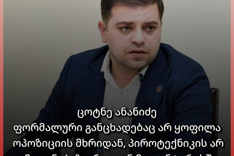 ცოტნე ანანიძე ოპოზიციის მხრიდან უპასუხისმგებლო ქცევაზე მიუთითებს