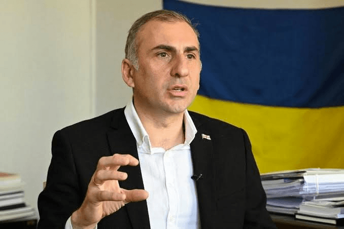 შინაგან საქმეთა სამინისტრომ ალი ბაბაევის მიმართ ძალადობის ფაქტზე ალეკო ელისაშვილი დააკავა