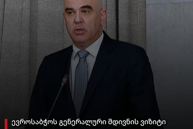 ევროსაბჭოს გენერალური მდივნის ოფიციალური ვიზიტი საქართველოში დასრულდა – რადიკალებმა შედეგს ვერ მიაღწიეს