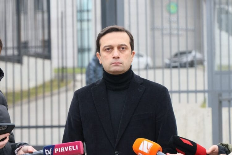 ლევან იოსელიანმა თბილისსა და საგარეჯოში მდებარე დროებითი მოთავსების იზოლატორში აქციაზე დაკავებული 34 პირი მოინახულა