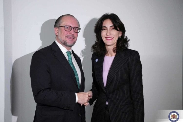 ეუთო-ს მინისტერიალის ფარგლებში, მაკა ბოჭორიშვილი ავსტრიის რესპუბლიკის ევროპისა და საერთაშორისო საქმეთა ფედერალურ მინისტრს, ალექსანდერ შალენბერგს შეხვდა