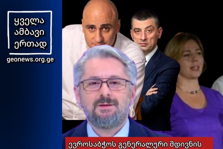 ევროსაბჭოს გენერალურ მდივანთან შეხვედრით რადიკალების დიდი ნაწილი უკმაყოფილოა