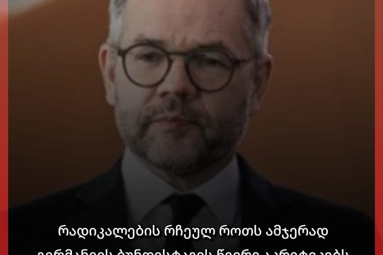 რადიკალების რჩეულ როთს გერმანიის ბუნდესტაგის წევრი აკრიტიკებს და თბილისში აქციებზე დგომას ახსენებს