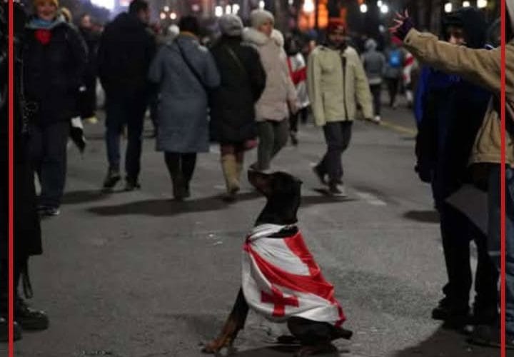 რუსთაველის გამზირზე საპროტესტო აქცია დასრულებულია