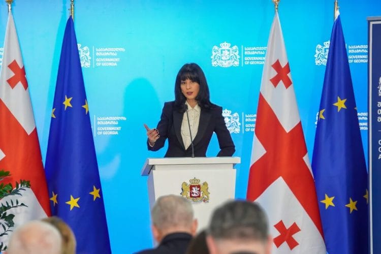 თეა ახვლედიანმა და ალექსანდრე წულაძემ ოკუპირებული აფხაზეთის რეგიონიდან წარჩინებულ სტუდენტს დიმიტრი გულიას სახელობის სახელმწიფო სტიპენდია და შესაბამისი სერტიფიკატი გადასცეს