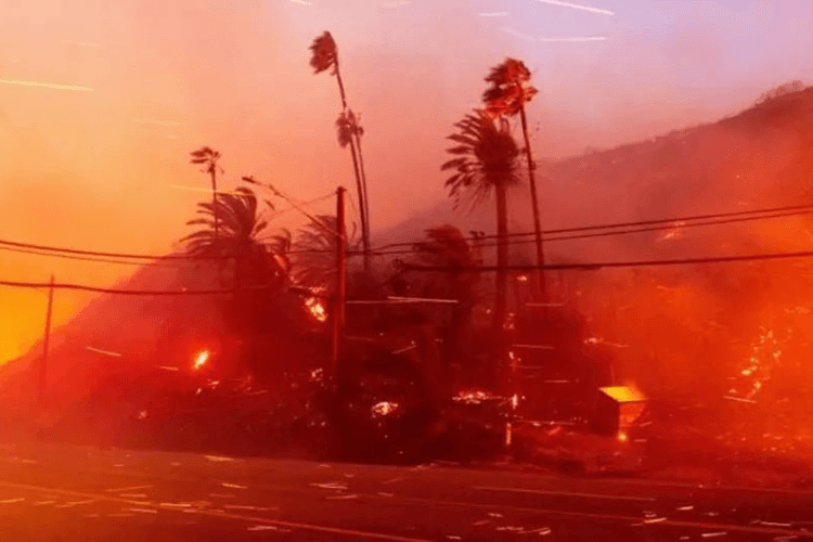 ლოს ანჯელესის ადგილობრივ ხელისუფლებაში აცხადებენ, რომ მზად არიან მოსალოდნელი ძლიერი ქარისთვის, რამაც შესაძლოა, ტყის ხანძრები გააძლიეროს