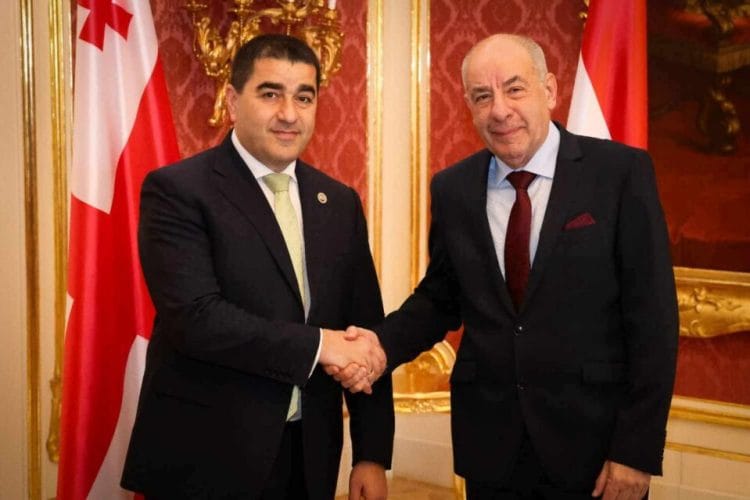 შალვა პაპუაშვილი უნგრეთის პრეზიდენტს შეხვდა