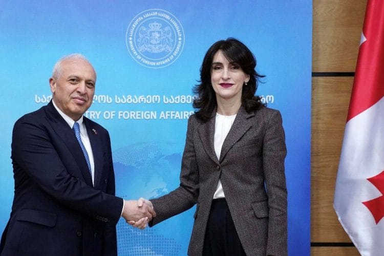 მაკა ბოჭორიშვილმა სომხეთის ელჩთან ორმხრივი თანამშრომლობის საკითხები განიხილა