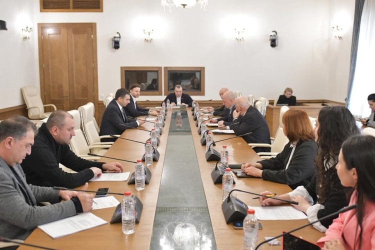 ადამიანის უფლებათა დაცვისა და სამოქალაქო ინტეგრაციის კომიტეტმა 2025 წლის სამოქმედო გეგმა დაამტკიცა