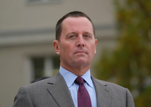 რიჩარდ გრენელი მიიჩნევს, რომ USAID-ის საქმიანობა გამოძიების ფედერალურმა ბიურომ უნდა გამოიძიოს