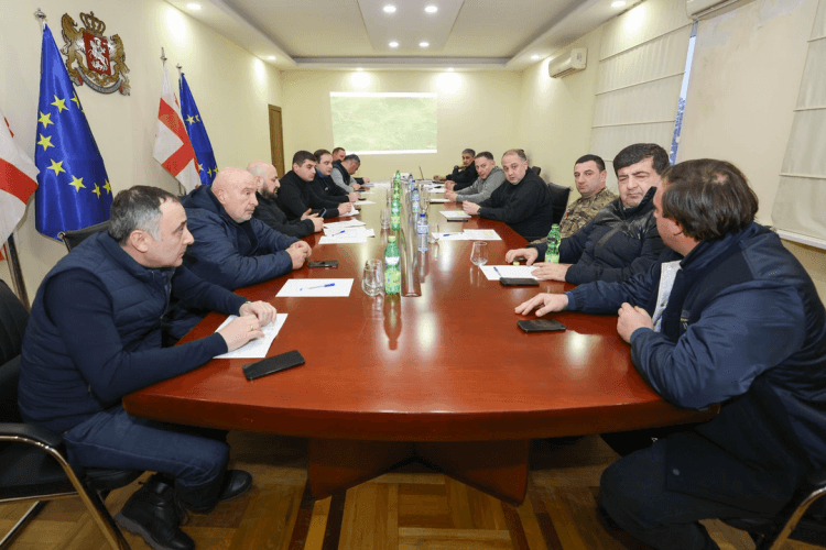 გურიაში გამართულ საკოორდინაციო საბჭოს სხდომაზე დიდთოვლობის სალიკვიდაციო სამუშაოები განიხილეს