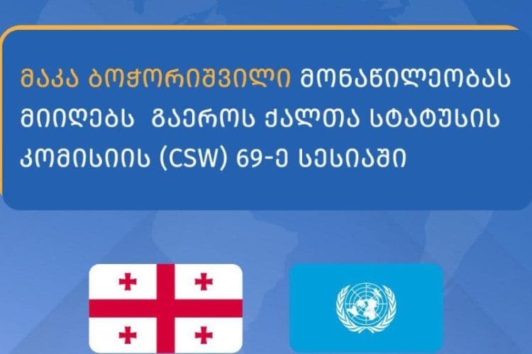 მაკა ბოჭორიშვილი ნიუ იორკში მონაწილეობას მიიღებს გაერო-ს ქალთა სტატუსის კომისიის 69-ე სესიაში