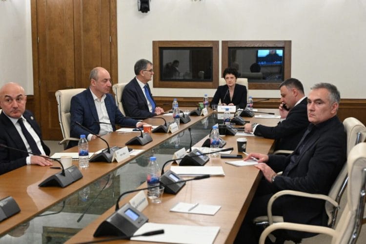 დროებითმა საგამოძიებო კომისიამ 2004-2008 წლებში ოკუპირებულ ტერიტორიებზე შექმნილ ვითარებაზე, საკუთრების უფლების დარღვევებსა და სასჯელაღსრულების დაწესებულებებში არსებულ მდგომარეობაზე ოთხ პირს მოუსმინა