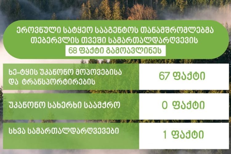 ეროვნული სატყეო სააგენტოს თანამშრომლებმა თებერვალში სამართალდარღვევის 68 ფაქტი გამოავლინეს