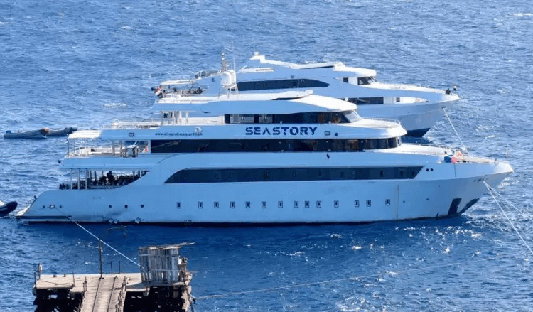 წითელ ზღვაში ტურისტული წყალქვეშა ხომალდის ჩაძირვის შედეგად, სულ მცირე, ექვსი ადამიანი დაიღუპა