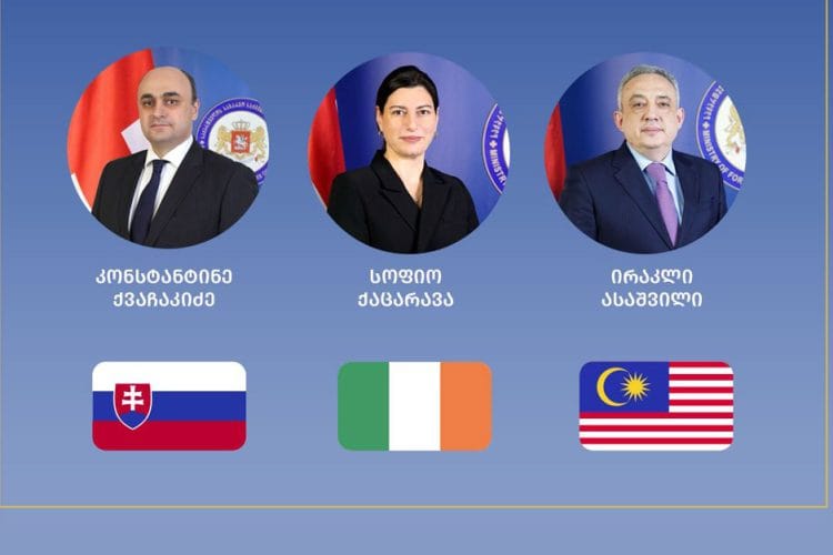 სლოვაკეთში, ირლანდიასა და მალაიზიაში საქართველოს ახალი ელჩები დაინიშნენ