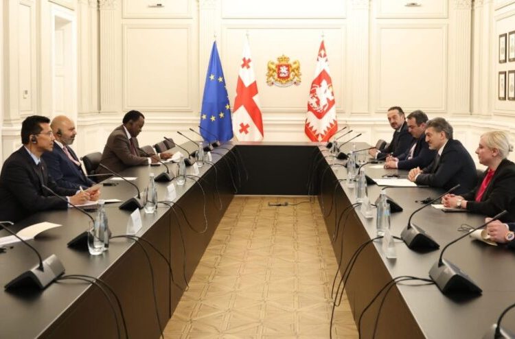 მიხეილ ყაველაშვილი გაეროსთან აკრედიტებულ მუდმივ წარმომადგენლებს შეხვდა