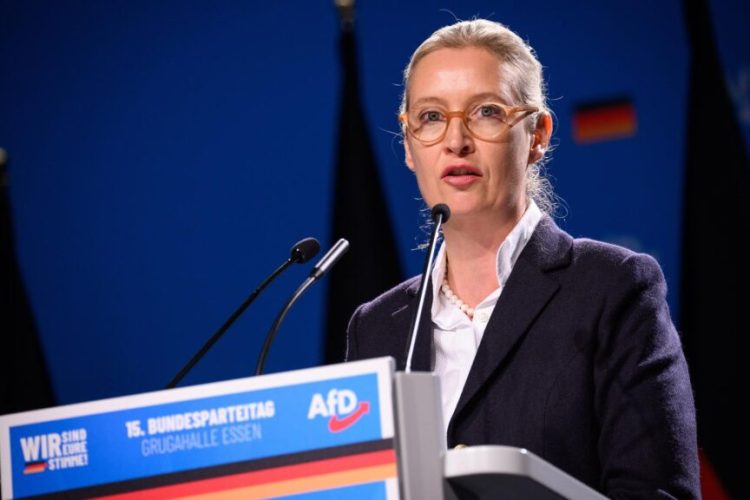 პარტია „ალტერნატივა გერმანიისთვის“ რიგგარეშე არჩევნების ჩატარებას ითხოვს