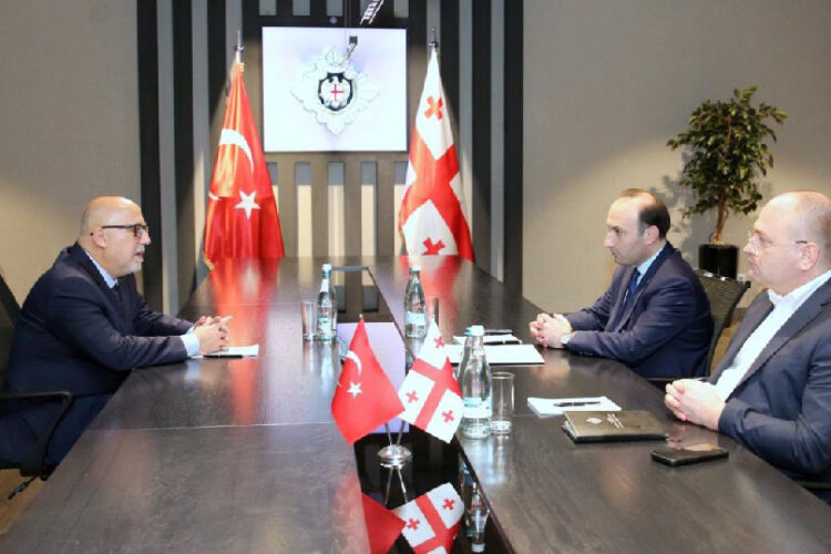 ანრი ოხანაშვილი საქართველოში თურქეთის ელჩს, ალი ქაან ორბაის შეხვდა