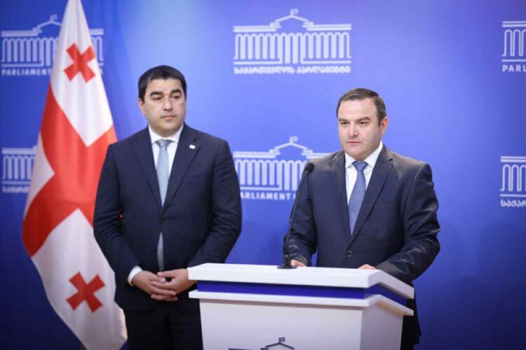 გენერალური აუდიტორის თანამდებობას გიორგი გაბიტაშვილი დაიკავებს