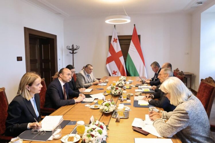 შინაგან საქმეთა მინისტრი გელა გელაძე უნგრეთში ოფიციალური ვიზიტით იმყოფება