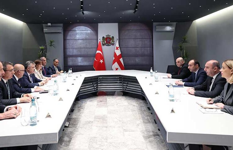 საქართველოს შს მინისტრი თურქეთის პარლამენტის უსაფრთხოებისა და დაზვერვის კომიტეტის თავმჯდომარესთან შეხვედრა გამართა