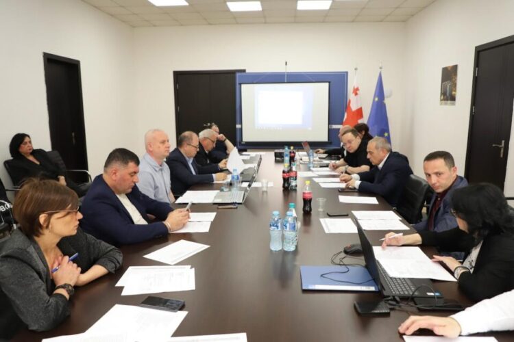 დევნილთა, ეკომიგრანტთა და საარსებო წყაროებით უზრუნველყოფის სააგენტო იძულებით გადაადგილებულ 2000-ზე მეტ ოჯახს სახლს შეუსყიდის