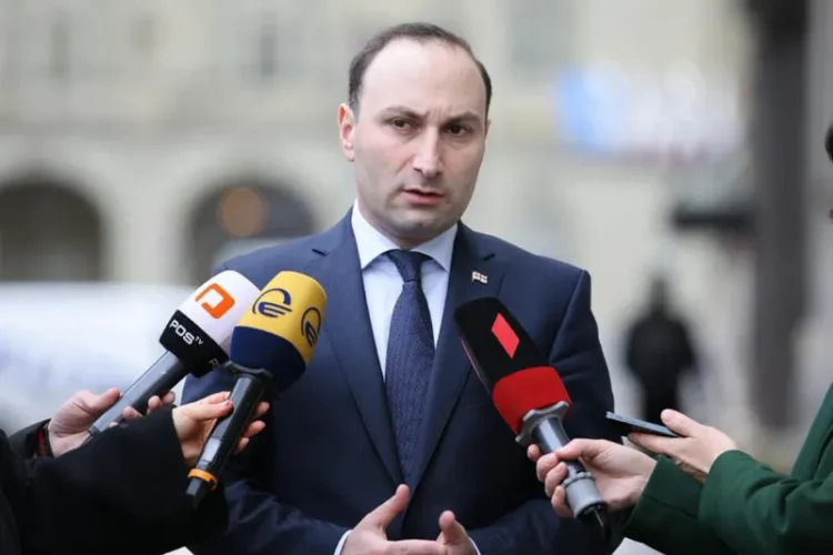 ანრი ოხანაშვილი – მიუხედავად ზღაპრებისა, ბაჩიაშვილის განცხადებებზე პროკურატურაში გამოძიება დაწყებულია, დაელოდეთ, კიდევ ბევრ ზღაპარს მოისმენთ