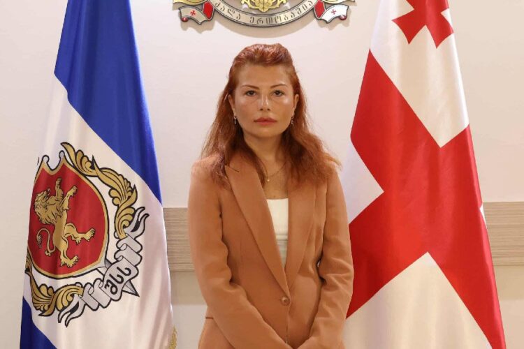 შინაგან საქმეთა მინისტრს ახალი მოადგილე ჰყავს