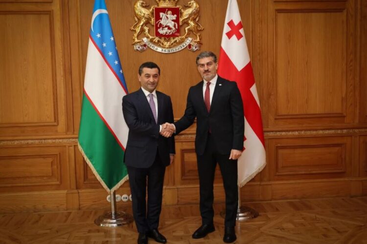 მიხეილ ყაველაშვილი უზბეკეთის საგარეო საქმეთა მინისტრს, ბახტიორ საიდოვს შეხვდა