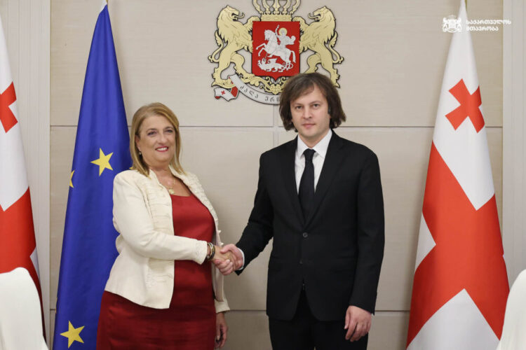 ირაკლი კობახიძე უნგრეთის ელჩს, ანა მარია შიკოს შეხვდა