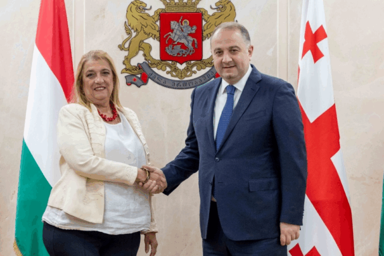 ირაკლი ჩიქოვანმა უნგრეთის ელჩთან გამოსამშვიდობებელი შეხვედრა გამართა