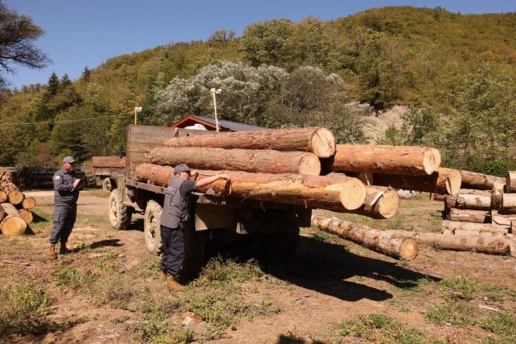 სატყეო სამსახურის თანამშრომლებმა წაღვერში, სახელმწიფო ტყის ტერიტორიაზე დიდი ოდენობით ხე-ტყით უკანონო სარგებლობის ფაქტი გამოავლინეს