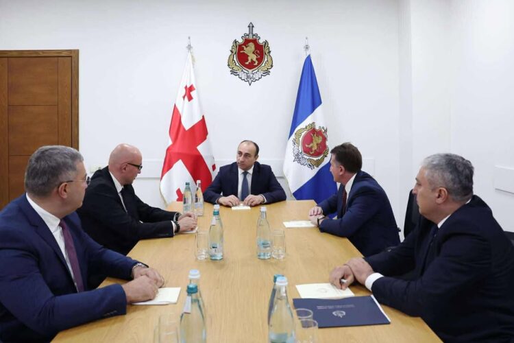 გეკა გელაძემ დროებით მოთავსების უზრუნველყოფის დეპარტამენტის ხელმზღვანელ პირებთან სამუშაო შეხვედრა გამართა