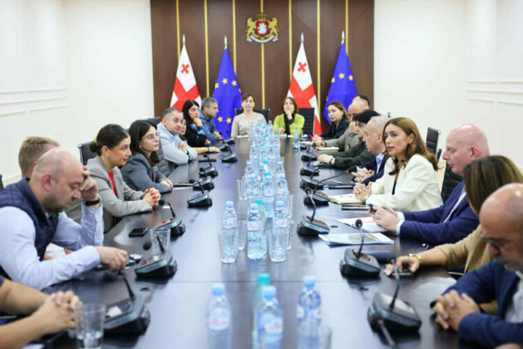 ბიზნესსექტორის წარმომადგენლებთან ერთჯერადი გამოყენების პლასტიკის მოხმარების რეგულირების საკითხებზე სამუშაო შეხვედრა გაიმართა