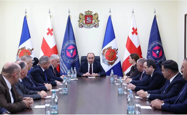 გეკა გელაძემ შინაგან საქმეთა სამინისტროს საგანგებო სიტუაციების მართვის სამსახურში შეხვედრა გამართა