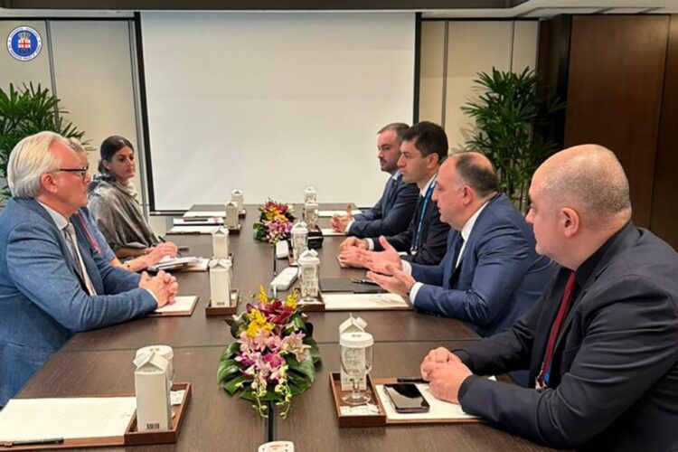საქართველოს გენერალური პროკურორი გიორგი გვარაკიძე პროკურორთა საერთაშორისო ასოციაციის წარმომადგენლებს შეხვდა