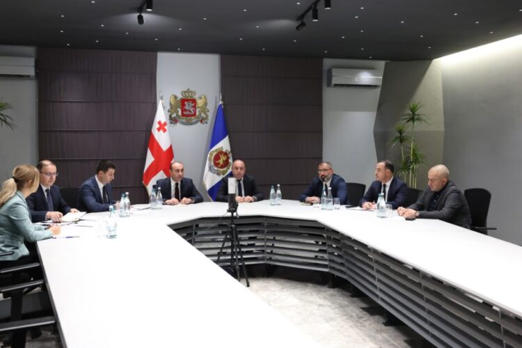 გეკა გელაძემ საზღვარგარეთის ქვეყნებში წარგზავნილ შინაგან საქმეთა სამინისტროს პოლიციის ატაშეებთან ონლაინშეხვედრა გამართა